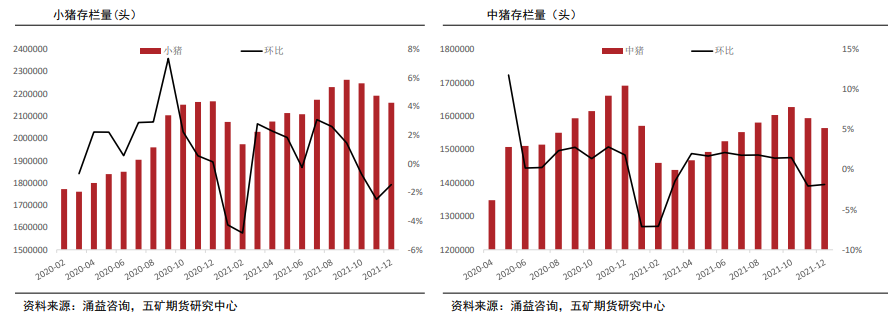 生猪：恐慌性抛售少见 季节性仍主导价格