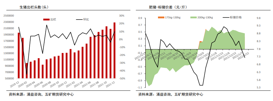 生猪：恐慌性抛售少见 季节性仍主导价格