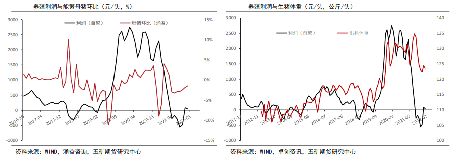 生猪：恐慌性抛售少见 季节性仍主导价格