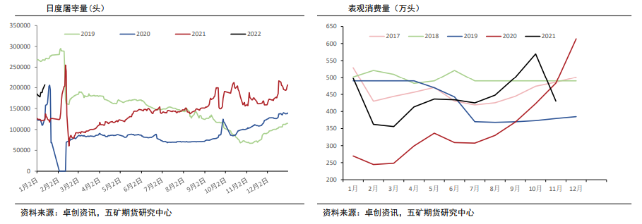 生猪：恐慌性抛售少见 季节性仍主导价格