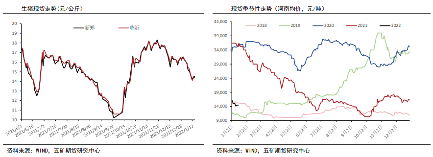 生猪：恐慌性抛售少见 季节性仍主导价格