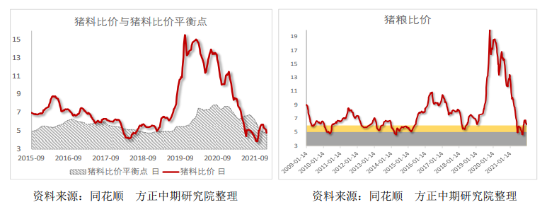 年后基本面有逐步企稳预期 生猪主力震荡微涨