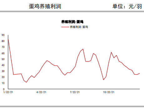 5月供应面临偏紧局面 鸡蛋主力或有反弹表现