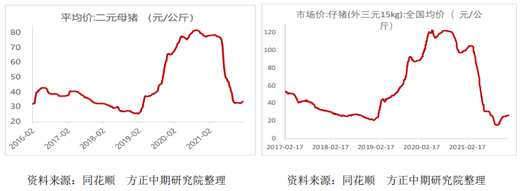 年后基本面有逐步企稳预期 生猪主力震荡微涨