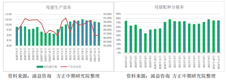 年后基本面有逐步企稳预期 生猪主力震荡微涨