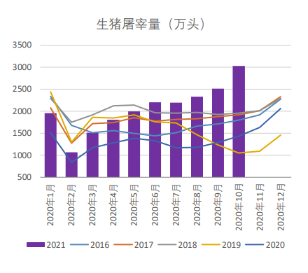 供需结构偏空 生猪长期看依然悲观