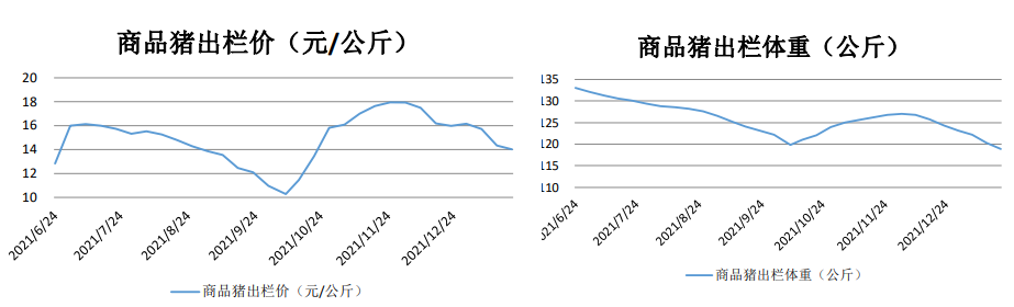 供需结构偏空 生猪长期看依然悲观