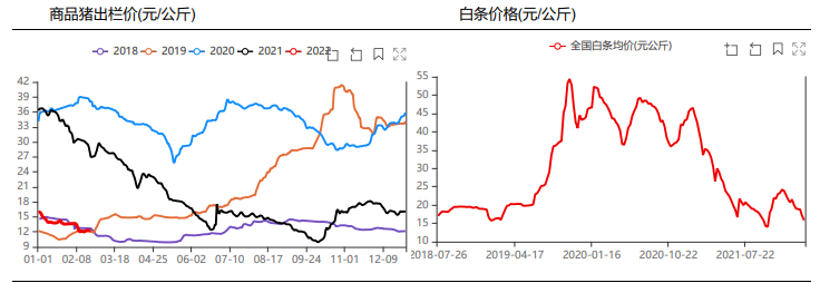 出栏量仍处高位 生猪偏弱调整