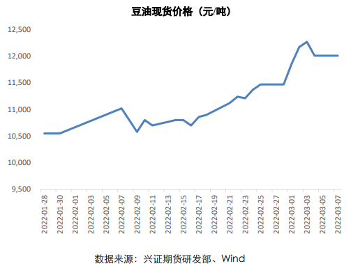 中储粮抛储即将展开 油脂宽幅剧烈震荡