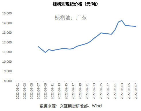 中储粮抛储即将展开 油脂宽幅剧烈震荡