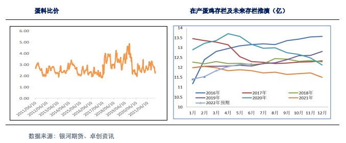 俄乌局势缓和削弱成本支撑 鸡蛋企稳运行