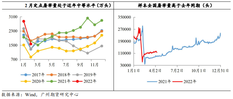 供强需弱态势延续 生猪震荡整理