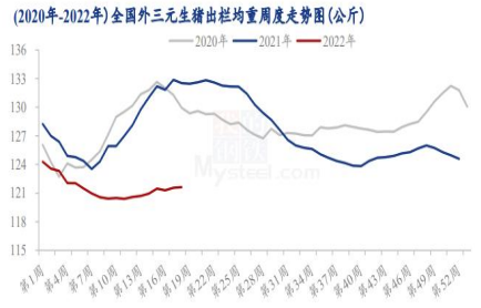 饲料成本支撑强劲 生猪上行修复利润