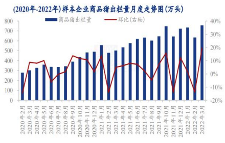 饲料成本支撑强劲 生猪上行修复利润