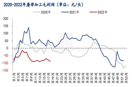 饲料成本支撑强劲 生猪上行修复利润