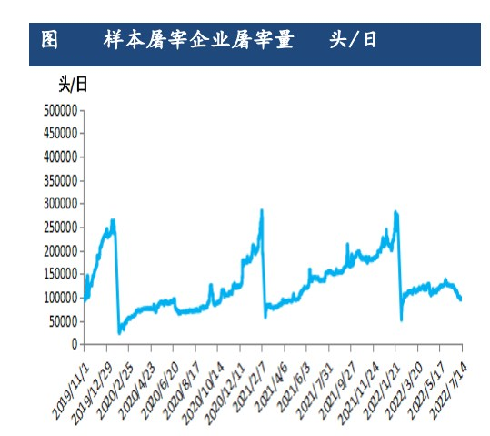 供给下滑幅度较大 生猪价格或继续偏强