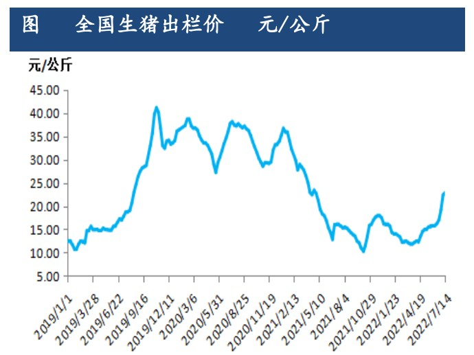 供给下滑幅度较大 生猪价格或继续偏强