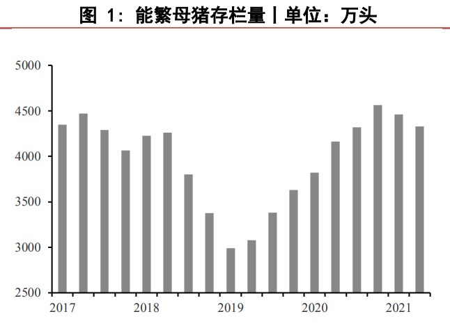 二次育肥规模上升较快 生猪期现基差上涨