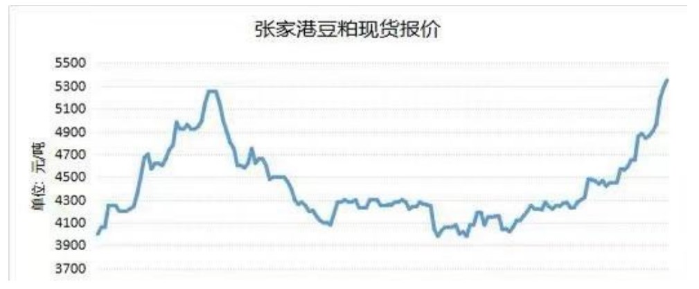 现货仍支撑盘面价格 豆粕上方调整空间有限