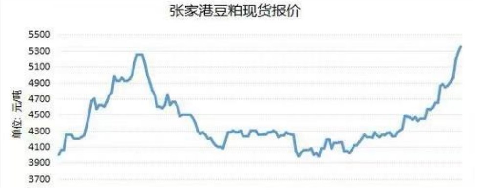 豆粕港库仍处低位 现货坚挺支撑盘面价格