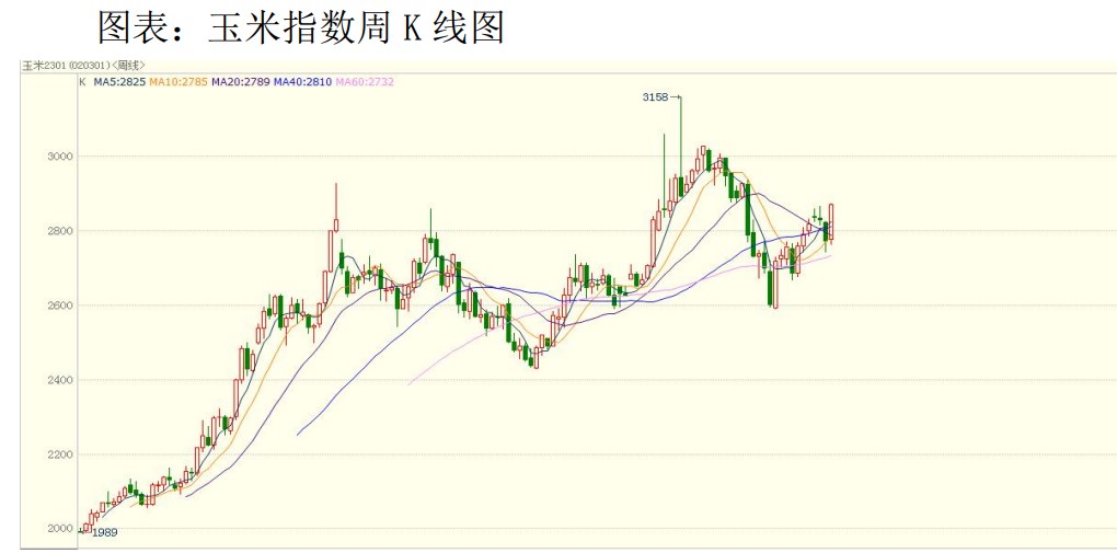 替代原料供应总体偏高 玉米基层惜售情绪较浓