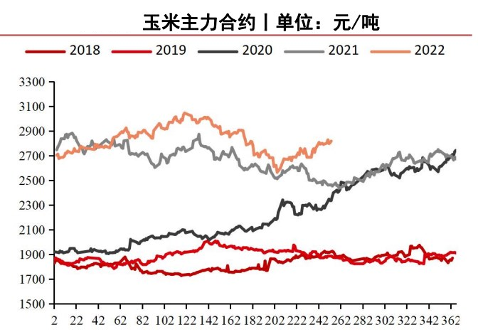 市场上量相对迟缓 玉米价格或呈偏强震荡