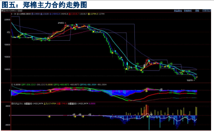 美联储宣布加息75个基点 美棉走势维持强势