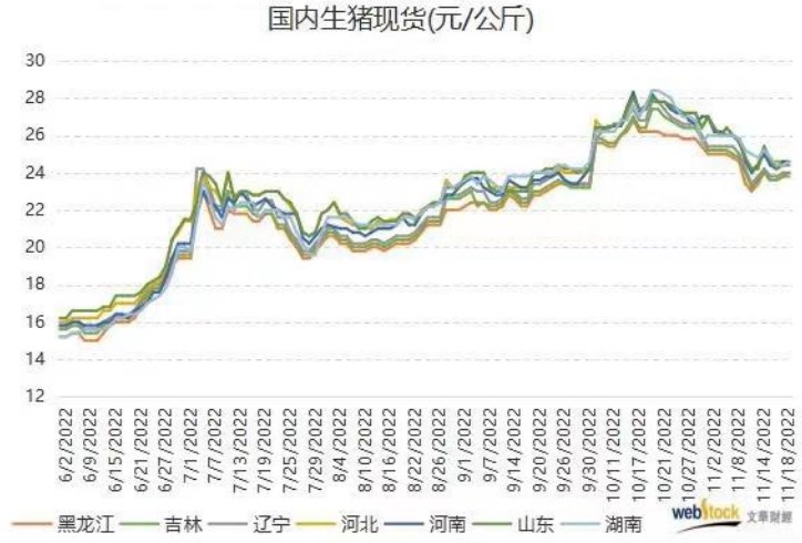 屠宰企业利润大幅下降 生猪多空交织博弈