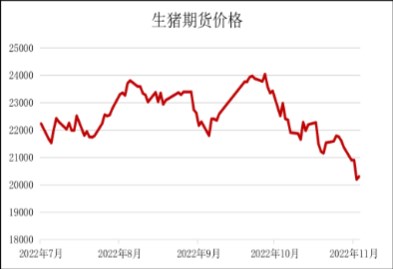 市场供应逐步改善 生猪价格高位回落