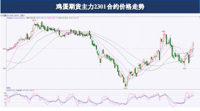 12月鸡蛋期货月报:蛋价维持高位震荡