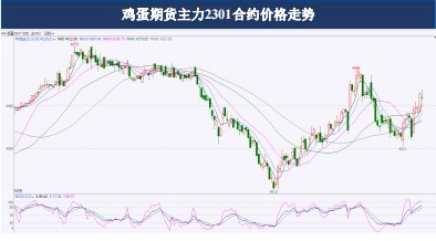 12月鸡蛋期货月报：蛋价维持高位震荡