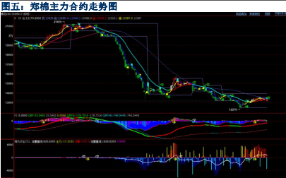 整体产业处于偏弱格局 棉花价格仍将承压运行