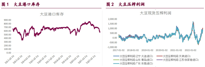 市场资金博弈持续 油脂期价跟随外盘波动