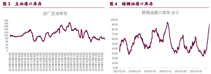 市场资金博弈持续 油脂期价跟随外盘波动