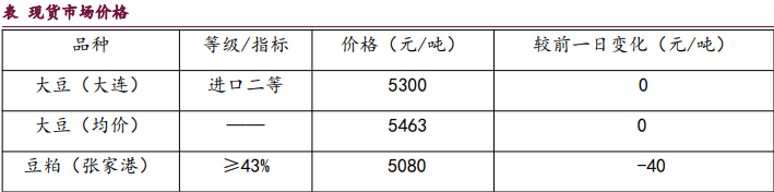 市场资金博弈持续 油脂期价跟随外盘波动