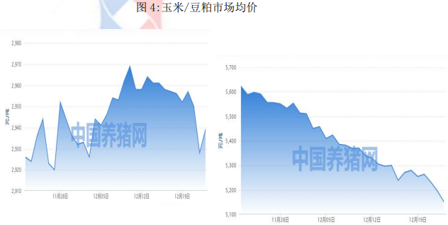 双节临近需求或有增量 后市生猪仍有复苏可能