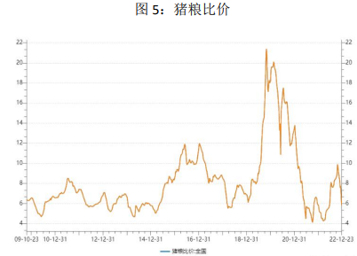 双节临近需求或有增量 后市生猪仍有复苏可能