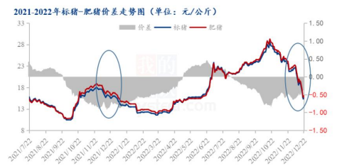 供应总量总体充足 玉米依旧存在适度回涨机会