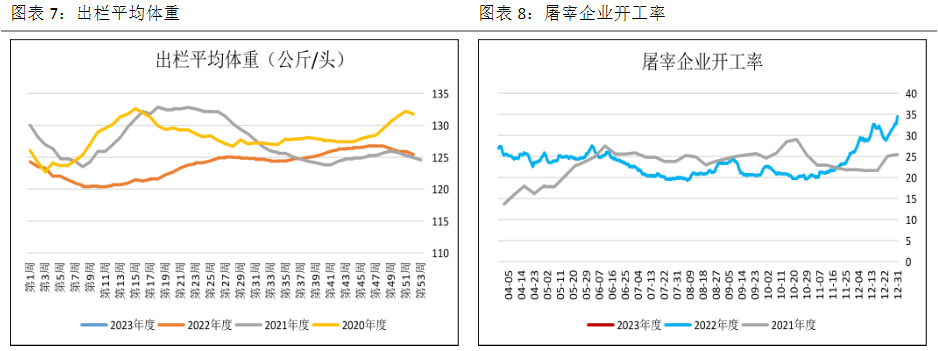 基本面驱动偏弱 生猪后市预计仍震荡走弱