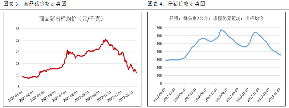 基本面驱动偏弱 生猪后市预计仍震荡走弱