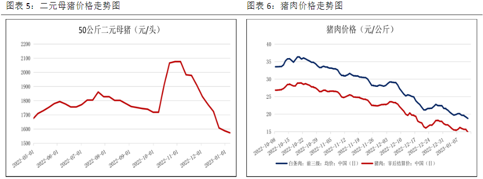 基本面驱动偏弱 生猪后市预计仍震荡走弱