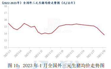 玉米月报：市场处于季节性淡季 需求总体依旧偏弱