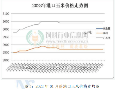 玉米月报：市场处于季节性淡季 需求总体依旧偏弱