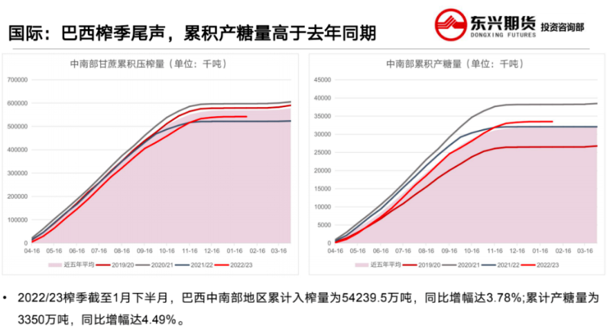 短期国际供应偏紧 原糖预计保持强势