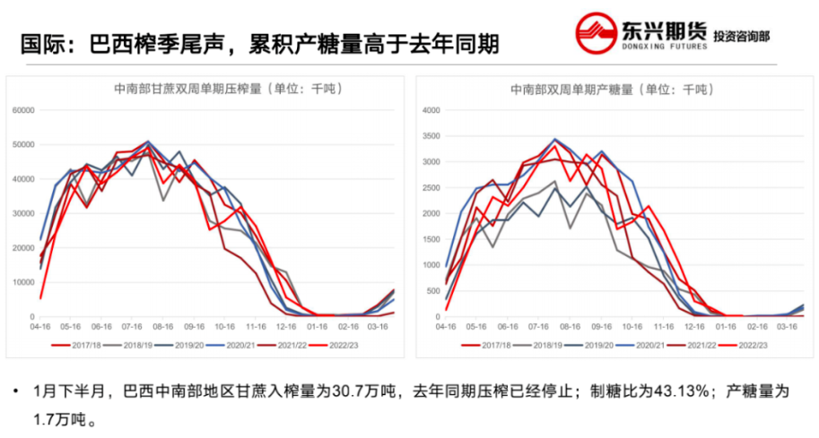 短期国际供应偏紧 原糖预计保持强势