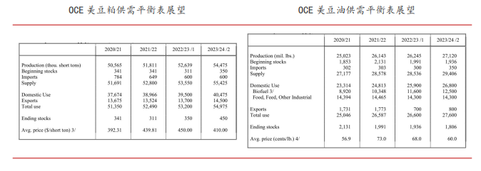 采购意愿不强 美豆走势震荡回调