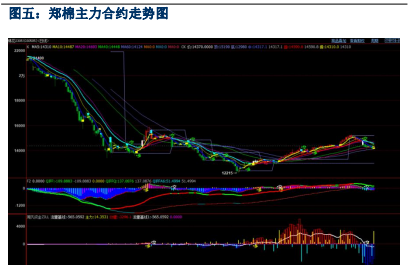 下游纺企刚需采购 棉花现货成交仍较淡