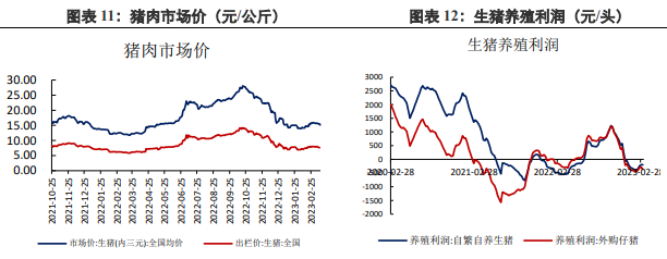 豆粕需求有回升可能 豆价短期随外盘震荡反弹