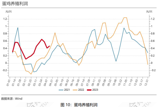 淘鸡养殖成本有所上升 鸡蛋价格维持相对高位