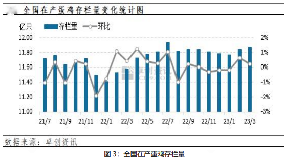 淘鸡养殖成本有所上升 鸡蛋价格维持相对高位